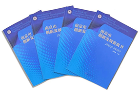 区域深耕，专业引领！sunbet中文官网国际研究成果入选《南京市创新开展蓝皮书》！